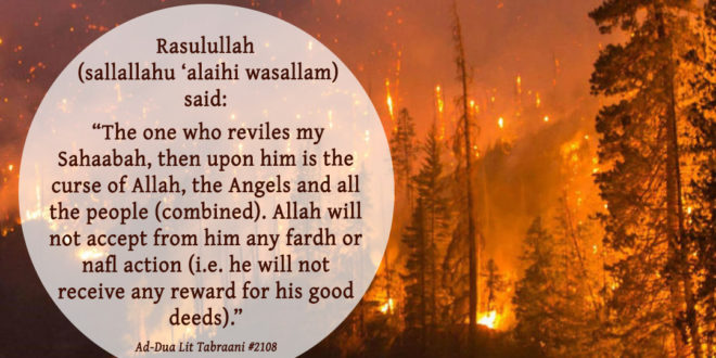 The Overwhelming love of the Sahaabah (radhiyallahu ‘anhum) for Hazrat ...