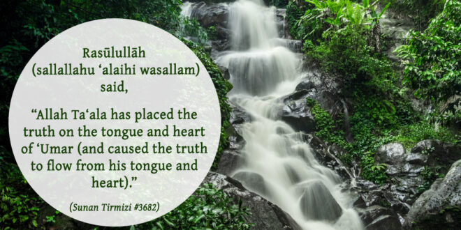 Hazrat Ali (radhiyallahu ‘anhu) Wishing to Meet Allah Ta’ala with the ...