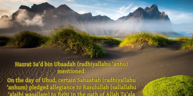 Hazrat Talhah (radhiyallahu ‘anhu) in the Battle of Uhud